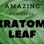 Amazing Kratom Leaf - Kratom Exchange