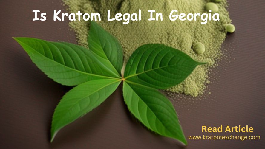 kratom in georgia-read article on kratom exchange blog