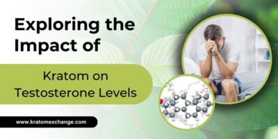 Exploring the Impact of Kratom on Testosterone Levels - Kratom Exchange